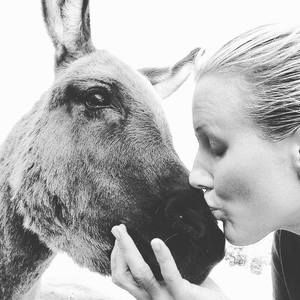 Meet your Posher, Saeger